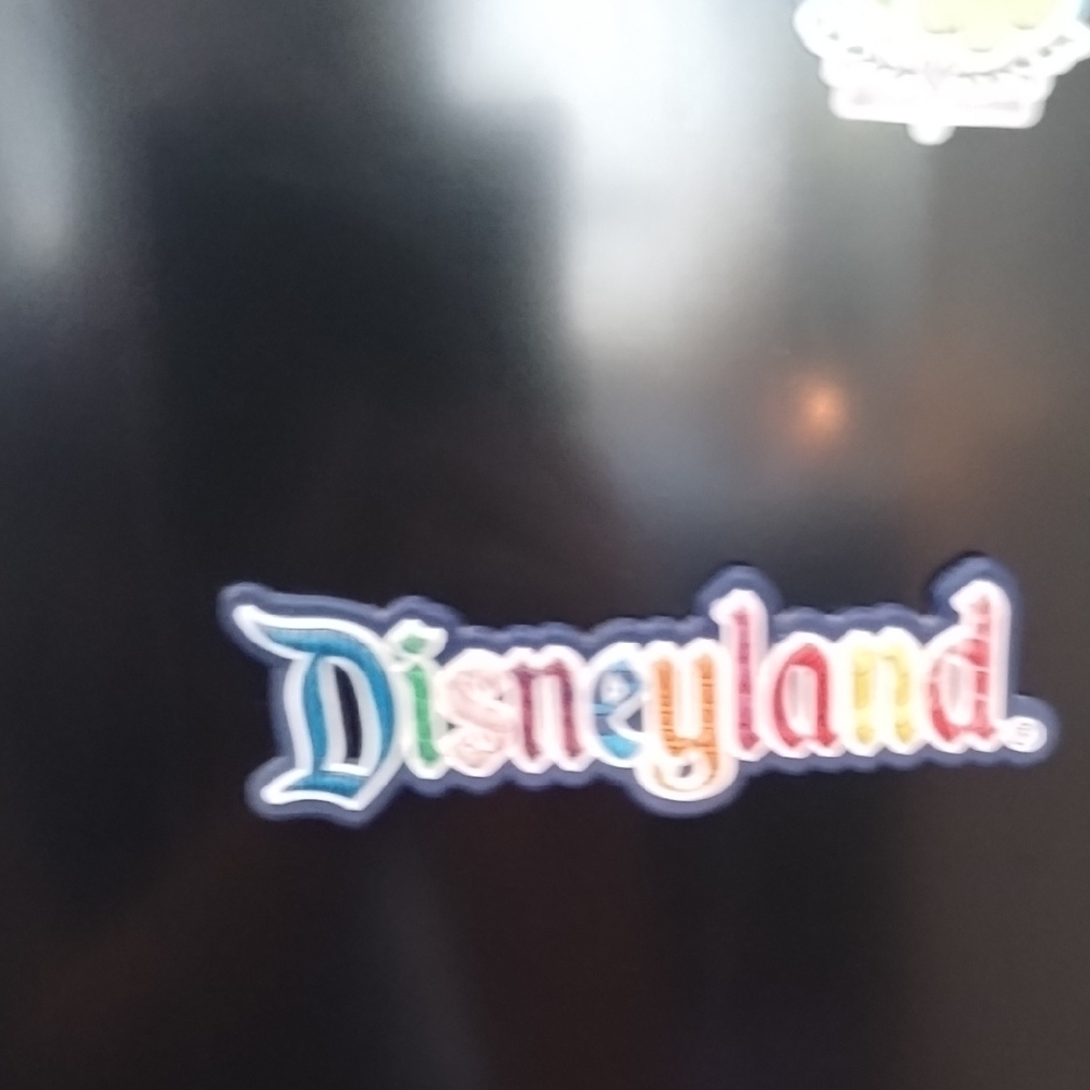 Disneyland Colorful Vintage Magnet - Picture 4 of 5